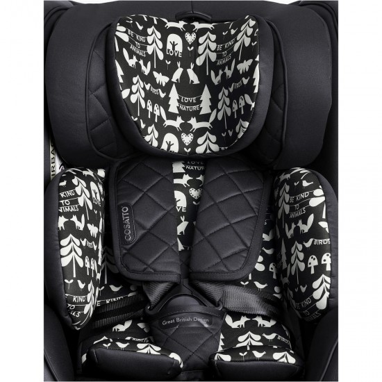 Cosatto come and go clearance car seat